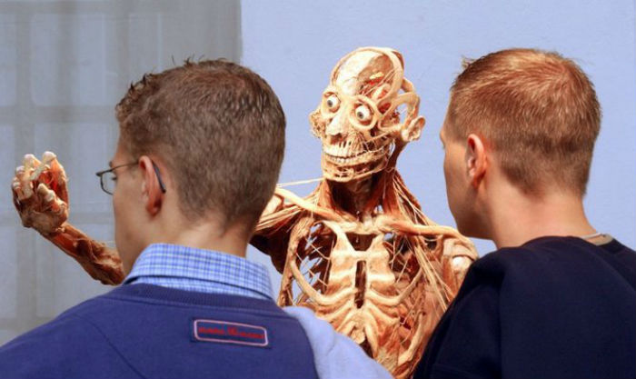 Foto: Koerperwelten Museum