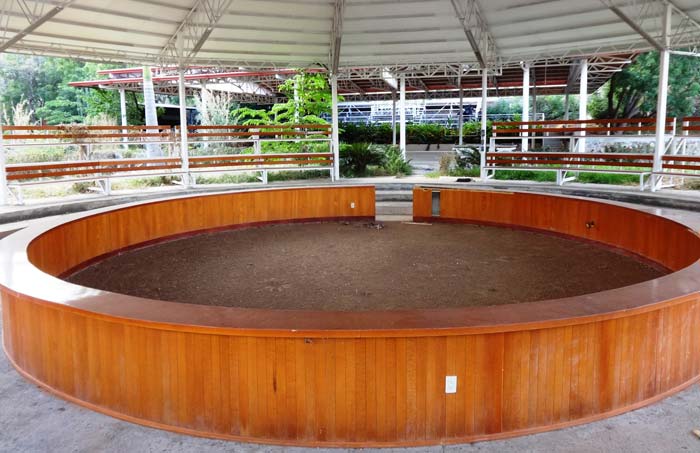 El palenque, forrado de madera, es una arena de lujo para la pelea de gallos. Foto Humberto Padgett SinEmbargo