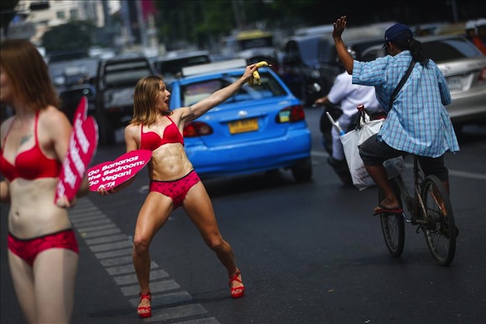Según la organización, el colesterol que contiene la carne es responsable de taponar las arterias lo que ralentiza el riego de la sangre a los órganos. Foto: EFE