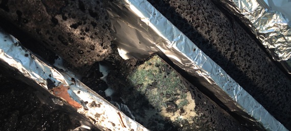 Núcleos que contienen calcita, los cuales, se cree, contienen dióxido de carbono inyectado. Foto: CarbFix