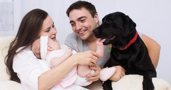 shutterstock_248914966