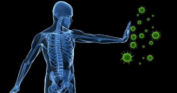 Imagen: Shutterstock