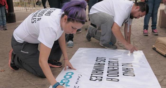 Carolina relata que fue voluntaria del antirrábico y describe la experiencia que vivió durante seis meses como “dolorosa y desgarradora” para tratar de salvar a los animales. Se llevó más de 50 durante ese tiempo. Foto: Cortesía.