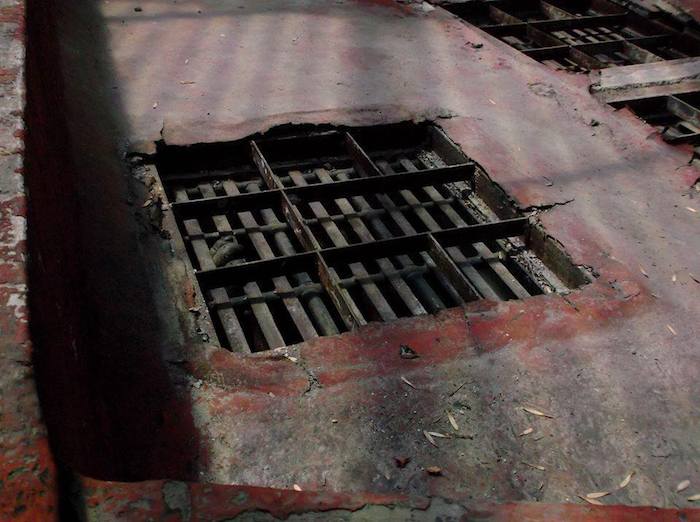 Este es el único contacto que los dos orangutanes del zoológico de Chapultepec, tienen con la luz del sol. Toto y Jambi solo alcanzan a sacar sus dedos al sol, de acuerdo a la ONG. Foto: Proyecto Gran Simio.