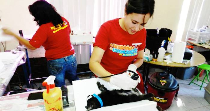 "Este trabajo me ha acercado a gente muy diversa; a situaciones que tal vez nunca me hubiera imaginado porque tuve la enorme fortuna de crecer en una familia fuera de serie; a autoridades con las que hemos tenido aprender a relacionarnos", expresa Patricia Torres de Gente por los Animales A.C. Foto: Cortesía.