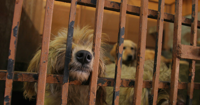 Foto: Cuartoscuro/Archivo.