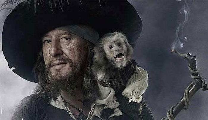 Los dos monos que serían trasladados a Australia interpretan a "Jack" el acompañante del "Capitán Héctor Barbosa" en la siguiente película de "Piratas del Caribe". Foto: Especial.