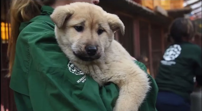 Captura de pantalla 2015-03-20 a la(s) 16.57.56