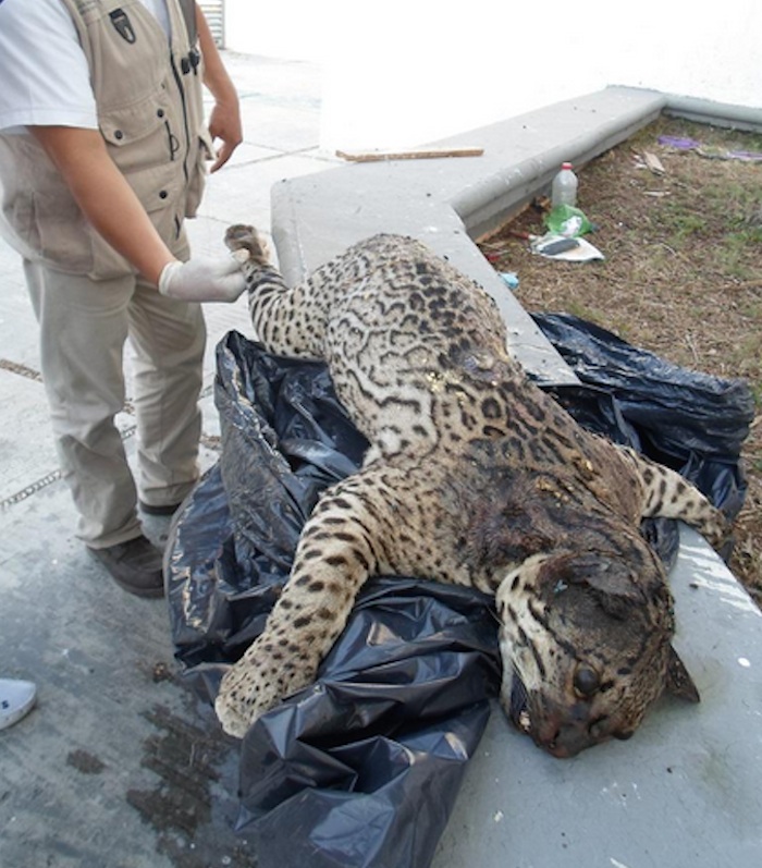 Captura de pantalla 2015-03-31 a la(s) 13.33.04