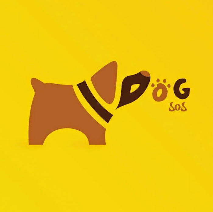 La aplicación prevé salir para todos los usuarios dentro de tres meses, por el momento están en busca de un inversionista. Imagen: Cortesía.