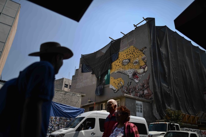 Uno de los conejos tiene un 43 en una pata Foto: Cuartoscuro