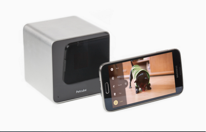 Tecnología en favor de las mascotas 700 x 450