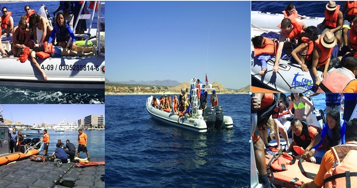 Turista muere tras colisión de ballena en Baja California Sur. Foto: Profepa