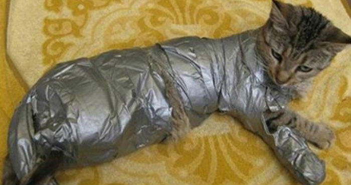 La petición fue lanzada hace dos semanas por una usuaria que vive en Alemania y está dirigida a Mark Zuckerberg, CEO de la red social Facebook y lleva 247 mil 638 simpatizantes de esta causa que firmaron. Foto: Change.