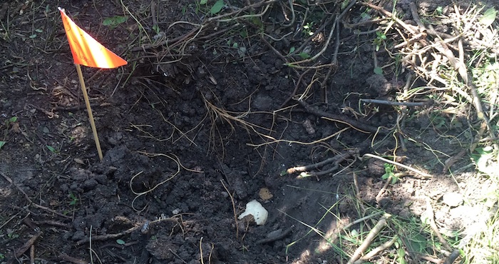Los cuerpos de los tres mineros tenían signos de haber sido torturados. Foto: Cuartoscuro