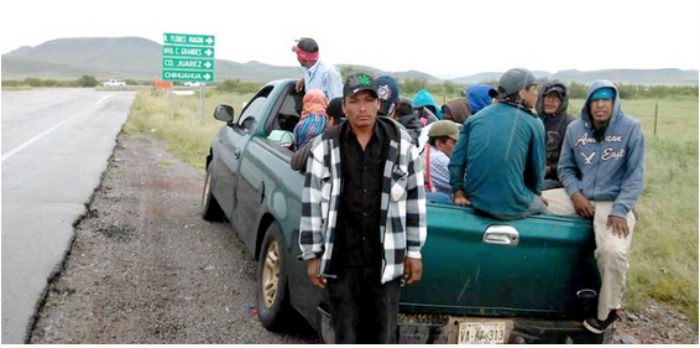 Los jornaleros fueron enganchados em Chihuahua y llevados a dos ranchos en Baja California Sur. Foto: Cortesía Zeta