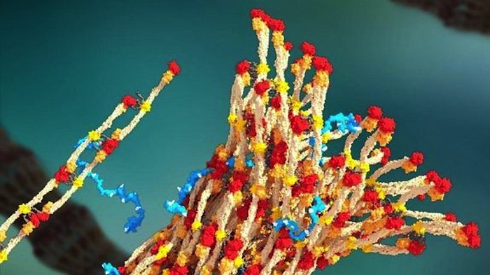 Investigadores de la Universidad de Washington desarrollaron el nuevo polímero que puede salvar miles de vida en los frentes de batalla. Foto: UW