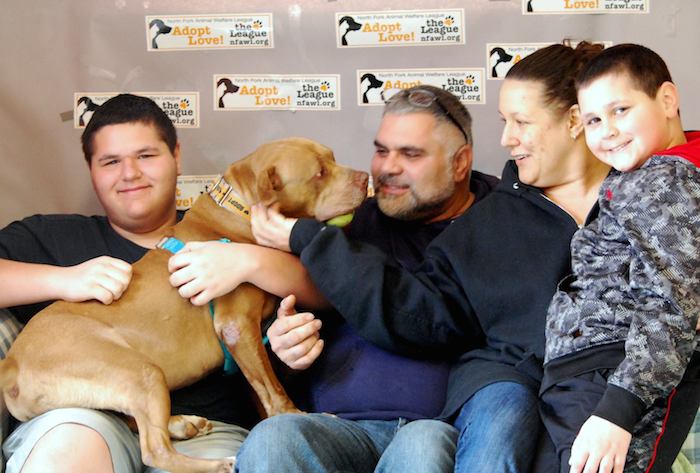 Chester tiene finalmente una familia que acudió al llamado en la red social. En Estados Unidos, algunos condados prohíben legalmente la tenencia de perros de esta raza por considerarlas "peligrosas". Foto: Facebook.