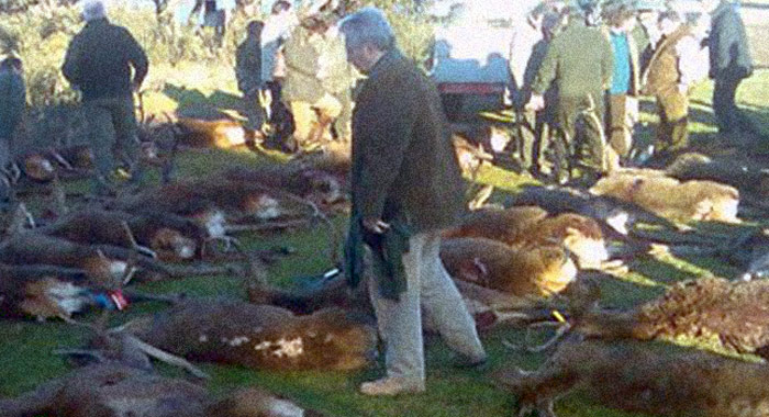 ABC cita fuentes próximas a Garzón que reconocieron que sí asistió a la cacería. Foto: Especial.