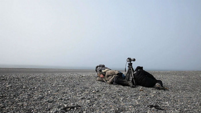 Para captar un destello hace falta todo el tiempo del mundo. Foto: Cortesía Juliano Salgado / Mantarraya