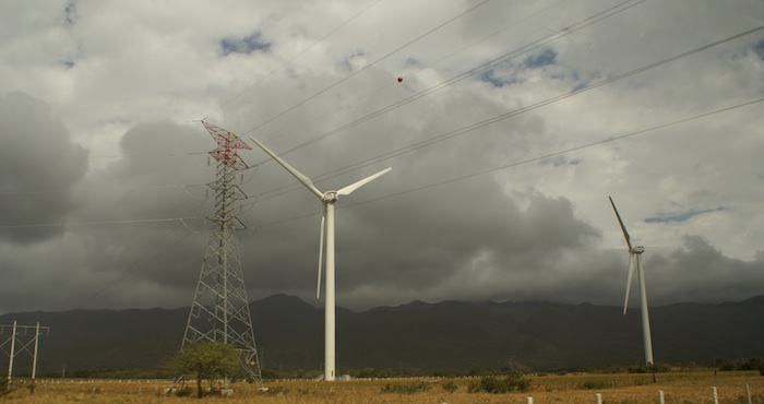 Parques eólicos en el itsmo de Tehuantepec. Foto: Cuartoscuro.