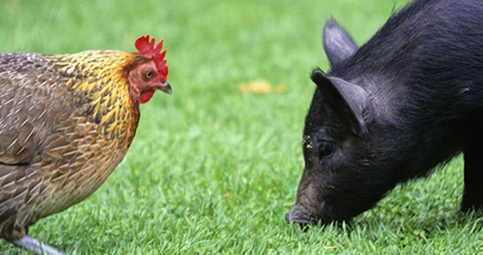 hsi_advo_hero_dejalasmover