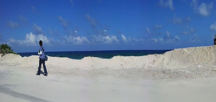 Se confirma el daño causado en una superficie aproximada de 301.50 metros cuadrados. Foto: Profepa