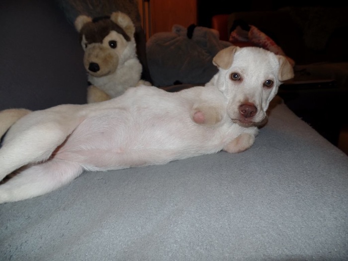 Luisa recibió un accesorio impreso en 3D para volver a caminar Foto: Facebook