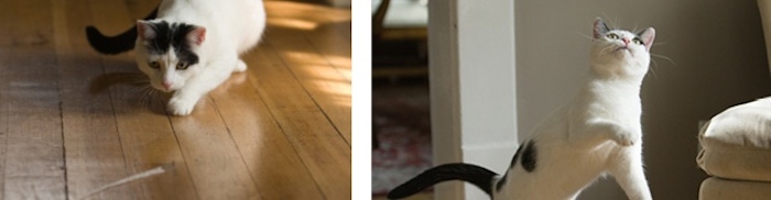 El dispositivo ya funciona en albergues y ahora buscan que personas lo obtengan para sus hogares. Foto: Archivo.