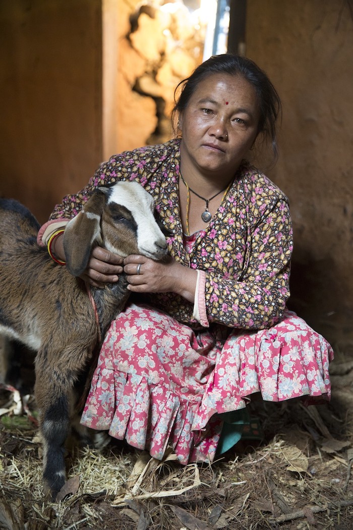"Llámales como quieran, mi propiedad, mi familia, mis amigos, ellos son lo único que tengo", explicó Tamang a la organización defensora de los derechos de los animales internacional.