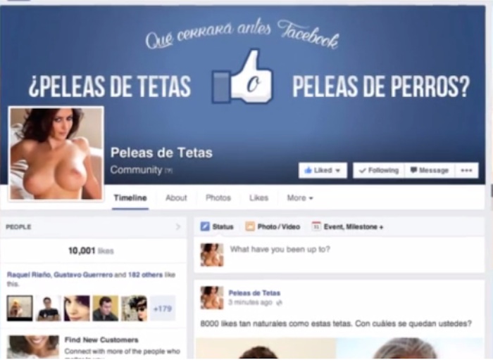 La página de "Pelea de Tetas" alcanzó popularidad en unas cuantas horas y las personas sabían que se trataba de una campaña para eliminar la violencia contra perros. Imagen: Especial.