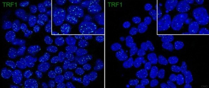Descubrimiento-cancer1