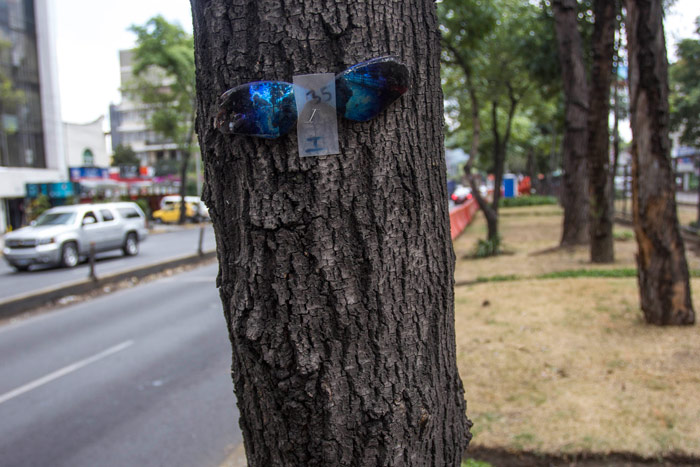 Marcado para morir. Foto: Cuartoscuro