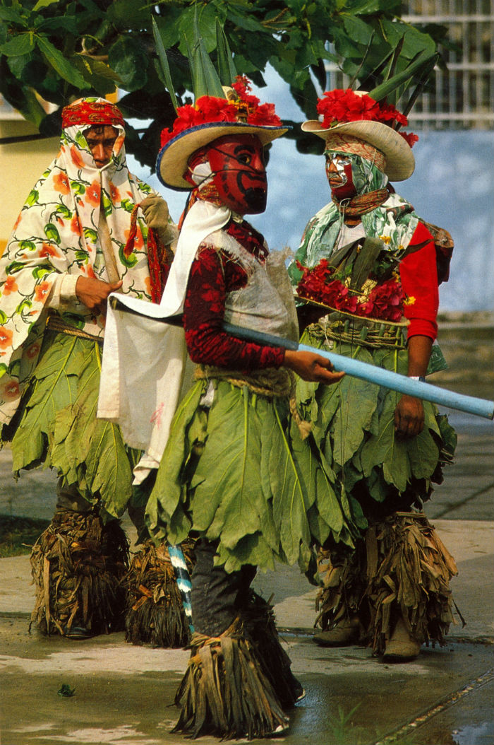 Danza del Pocho en Tenosique. Foto: CONACULTA