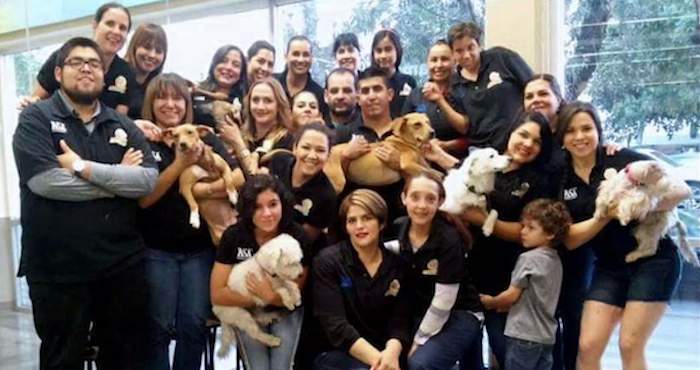 Adoptando un amigo busca realizar leyes justas para el cuidado de los animales y dejar de verlos como objetos, además de controlar la venta y reproducción de perros y gatos. Foto: Cortesía.