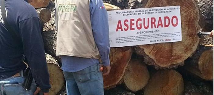 La Profepa ha asegurado en lo que va del año mil 504.55 metros cúbicos de madera en rollo en operativos contra la tala ilegal. Foto: Profepa.