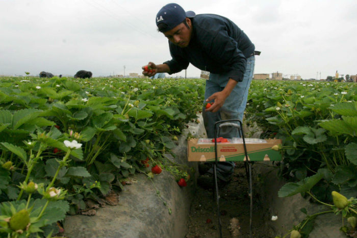 El dinero que envían los mexicanos en Estados Unidos equivale al 92 por ciento de lo que se obtuvo de exportaciones petroleras en los primeros tres meses de 2015. Foto: Cuartoscuro