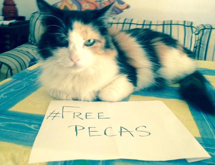 Usuarios en Facebook se unieron a la protesta en línea a favor de Pecas Aguirre. Foto: Facebook.