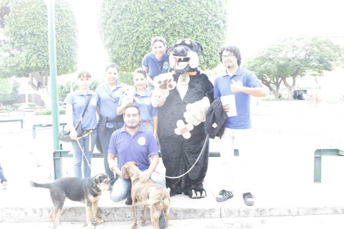 Los rescatistas se encargan de poner en adopción a las mascotas vacunadas y esterilizadas en León, Guanajuato. Foto: ACC.