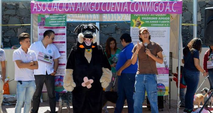 El objetivo de ACC también es llevar campañas de esterilización a lugares marginados. Foto: ACC.
