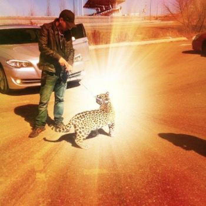 ntegrantes de "La Línea" exhiben sus "lujos" en las redes sociales. Foto: San Antonio Express News/Blog del Narco.