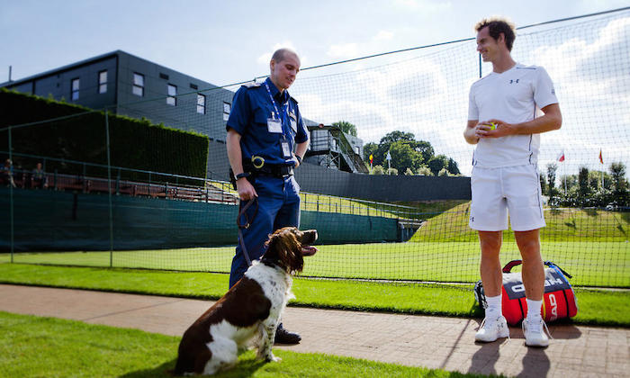 Nepal ha logrado dos años sin registrarse incidencias de caza furtiva, gracias a diversos operativos. Foto: WWF.