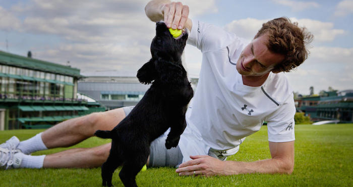 El tenista inglés, Andy Murray, busca crear consciencia sobre las labores de los perros "oledores" que participan en el combate a la caza furtiva en Nepal. Foto: WWF.