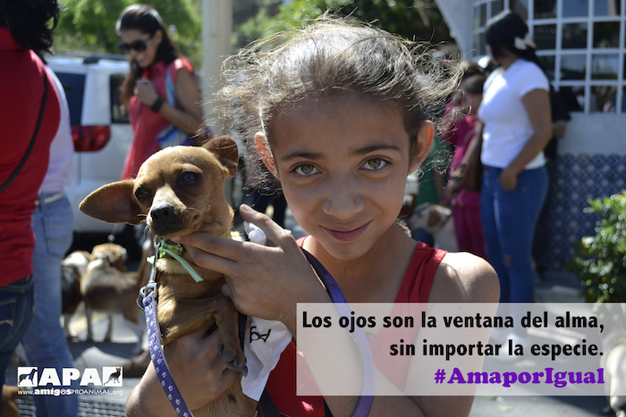 "Nuestro principal objetivo es el rescate y rehabilitación de animales en condiciones de calle o abandono y poderles brindar una segunda oportunidad de vida", explica Ana Zavala, vocera de Amigos Pro Animal. Foto: Cortesía.
