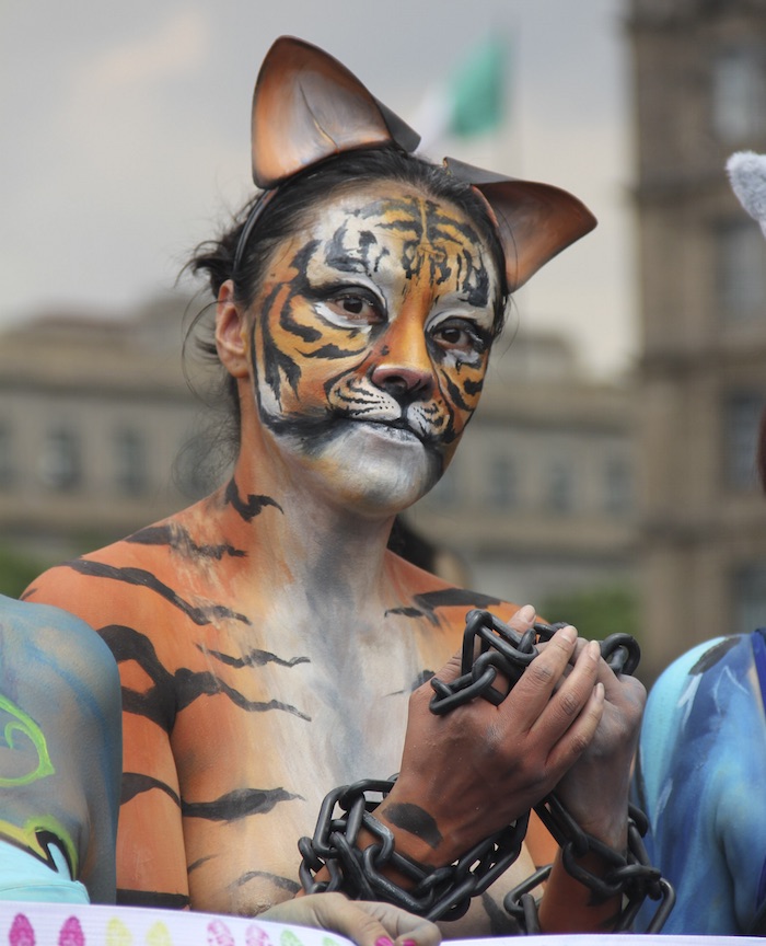 Activistas abogan por que los animales dejen de ser considerados bienes muebles y pasen a ser, como los humanos, personas con derechos Foto: Luis Barrón, Sin Embargo