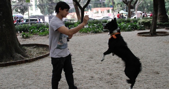 Los perros tienden a rehuir a las personas que son antipáticos o desagradables con sus dueños. Foto: Cuartoscuro