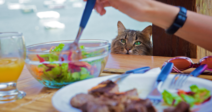 shutterstock_40562458