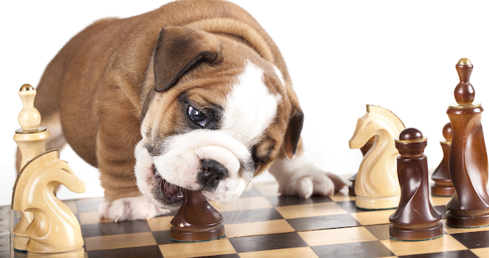 shutterstock_96779407