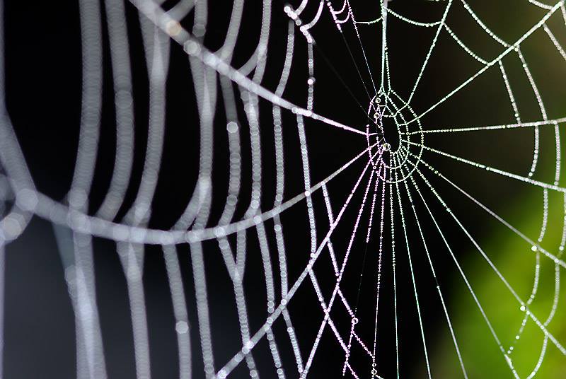 Foto: Wikipedia 11774541_888535837900534_1636398173_n