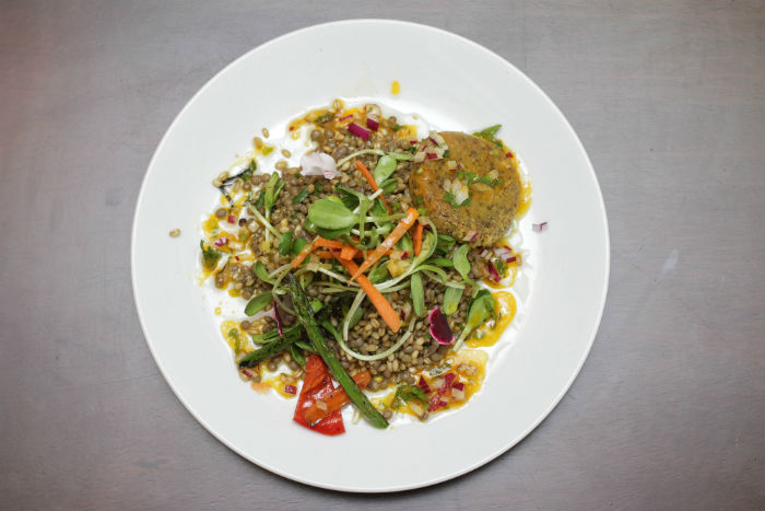 Salteado de Trigo entero con lentejas al curry. Foto: Francisco Cañedo, SinEmbargo